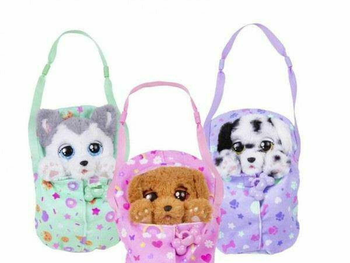 V4H2CCC49BA01B2F01E910FB1ED7011DEA1R4493028P2