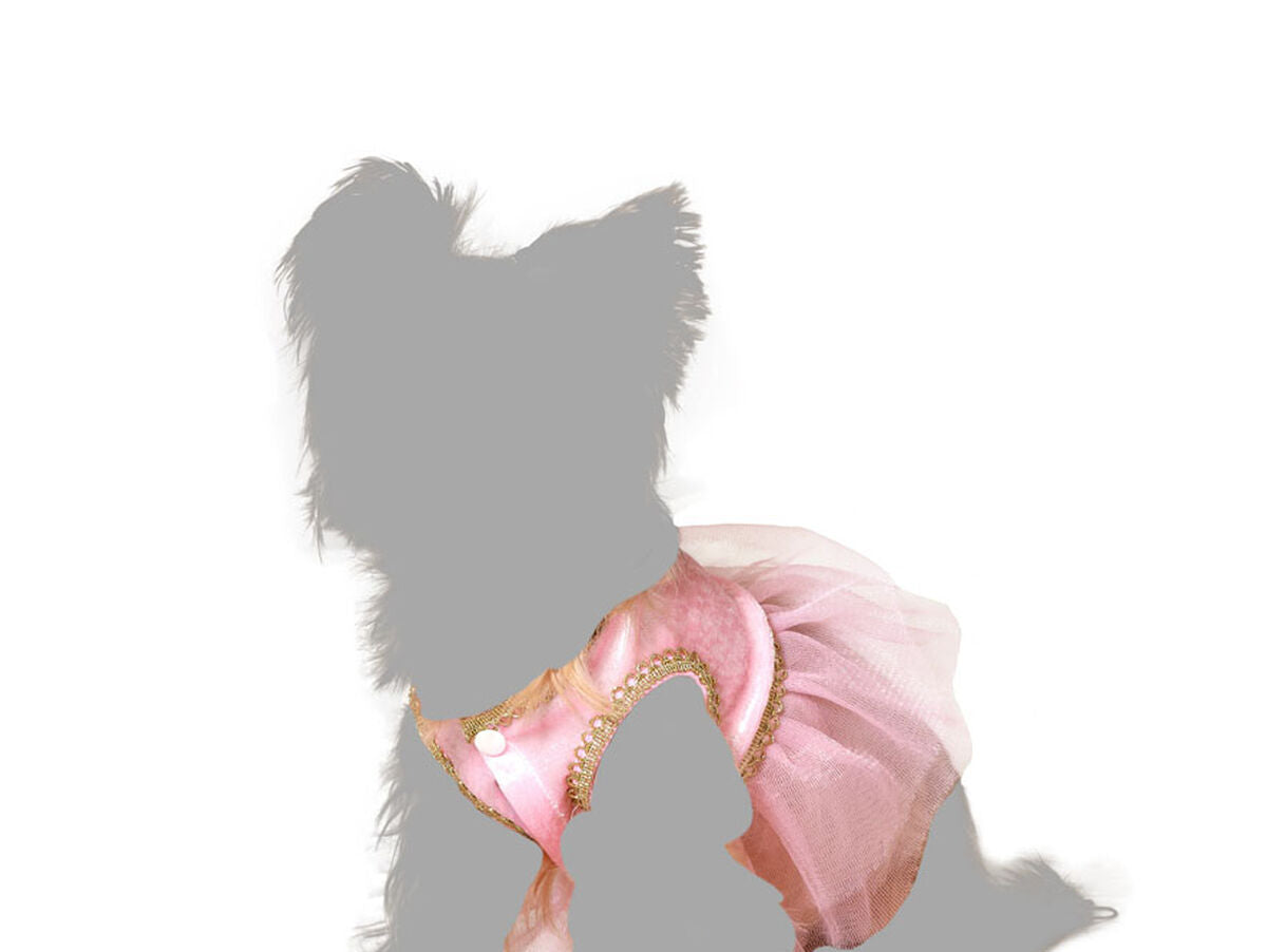 V8H9C7C2BA03CB206F0FB5EF49A9EF279ADR5072147P3