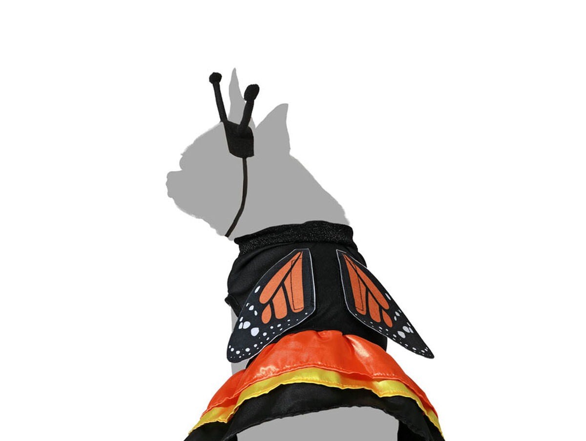 V6H64C231EBA37BBFAB48552466B5AAFF76R5006591P3