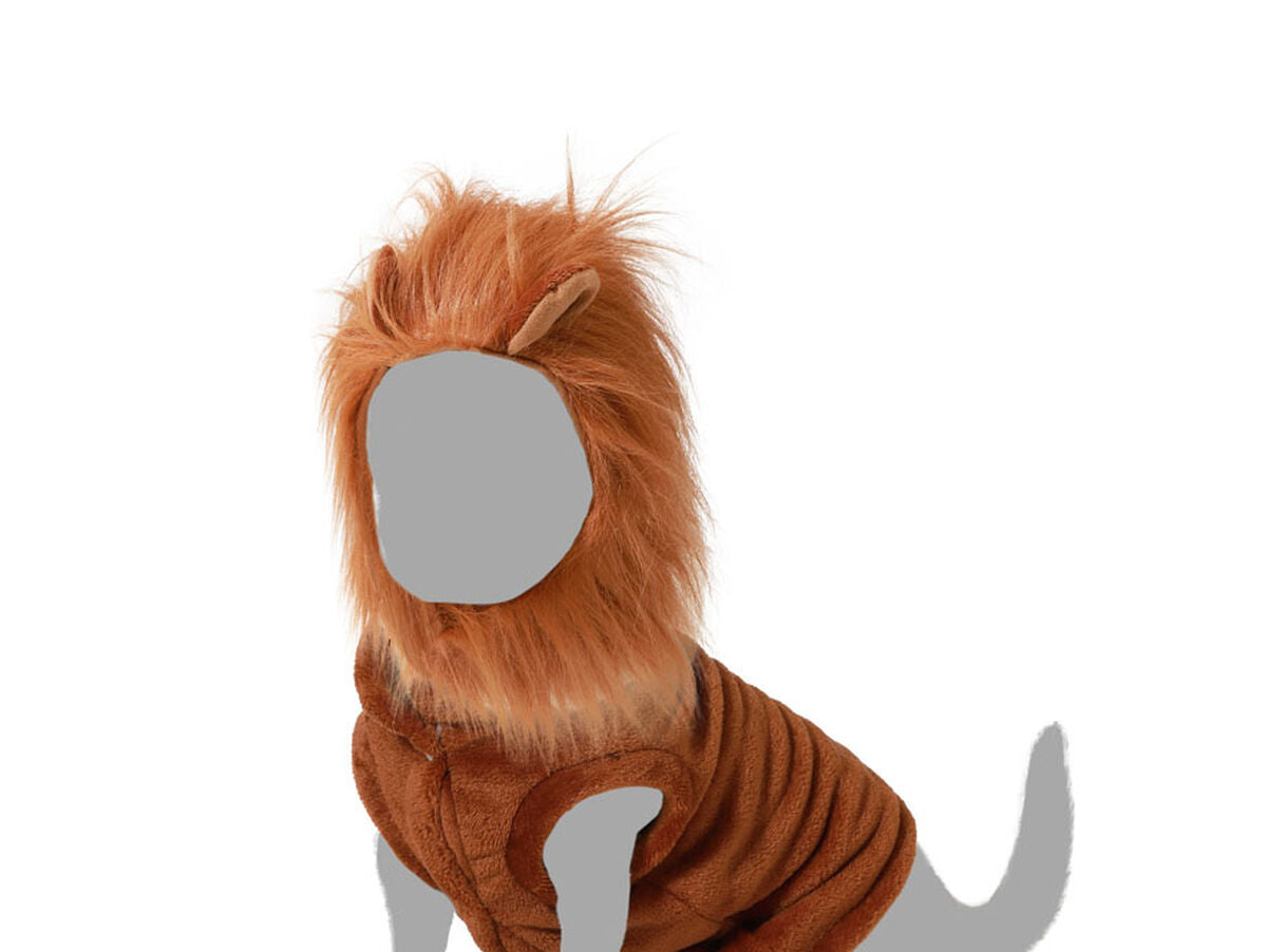 V6HBCFECE6629474678959E07A304CCE3EFR5006621P3