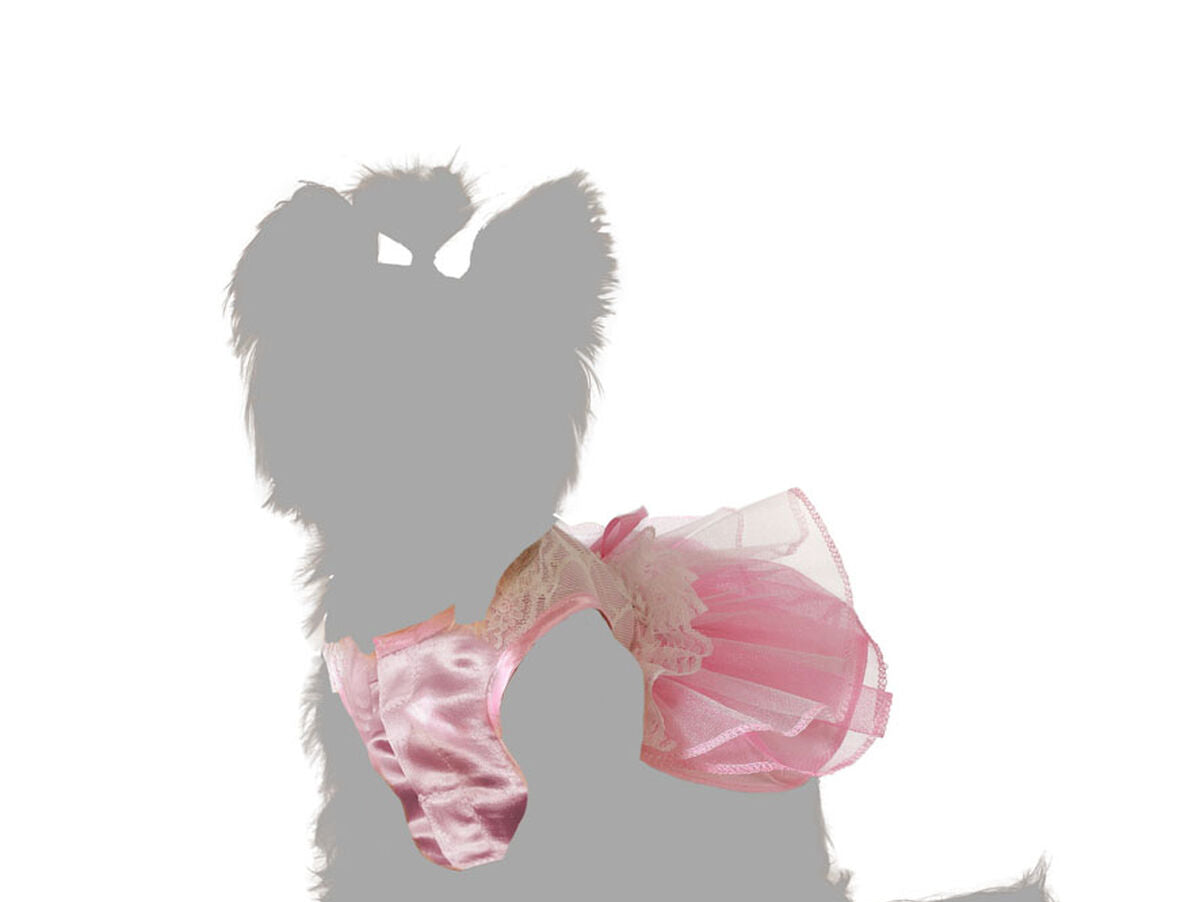 V6HED50B7B047F04E63BB0156E6A8E2A857R5006664P3