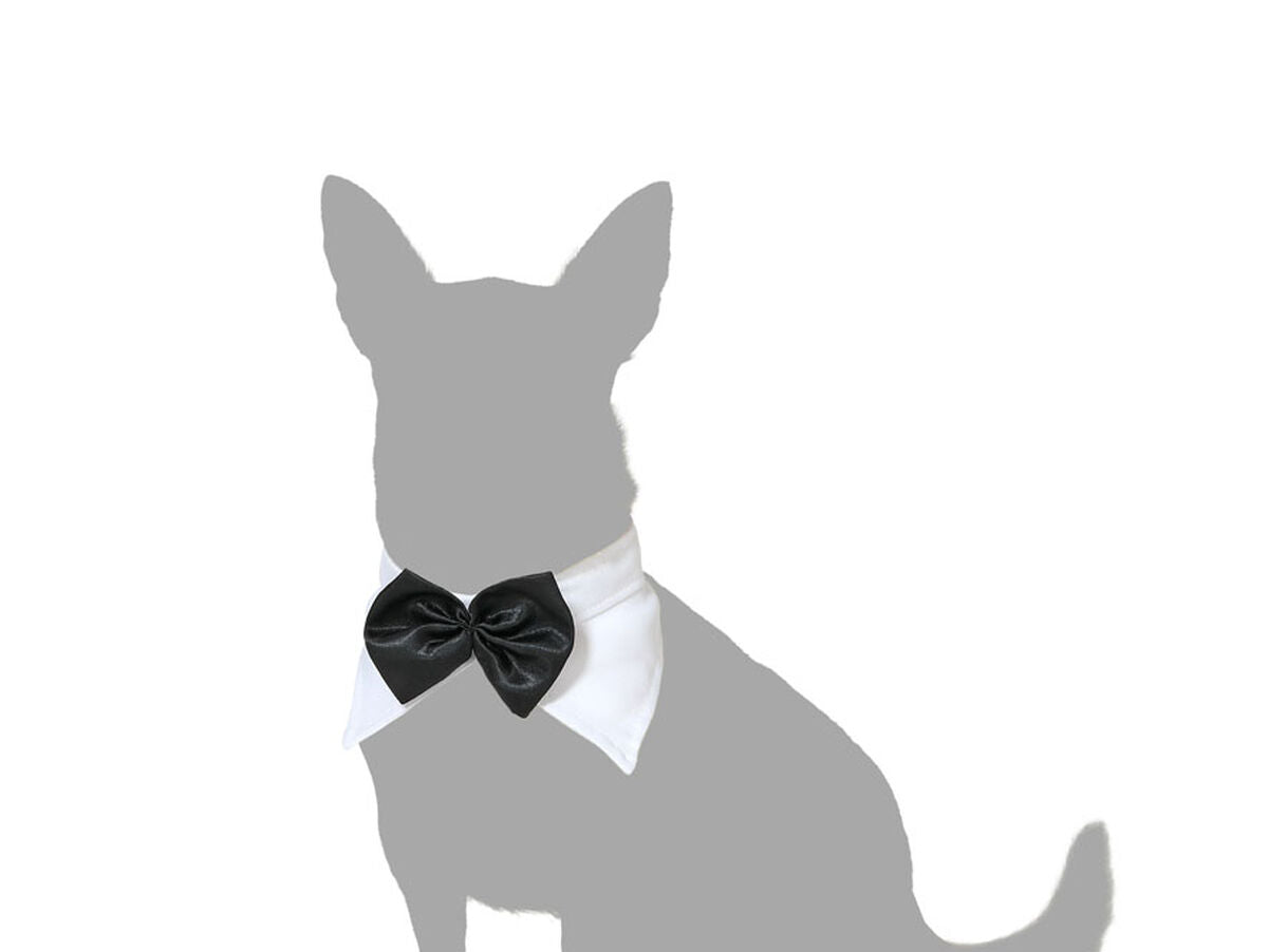 V6H8004895A0F2A0C2331892A34B54C8786R5154136P3