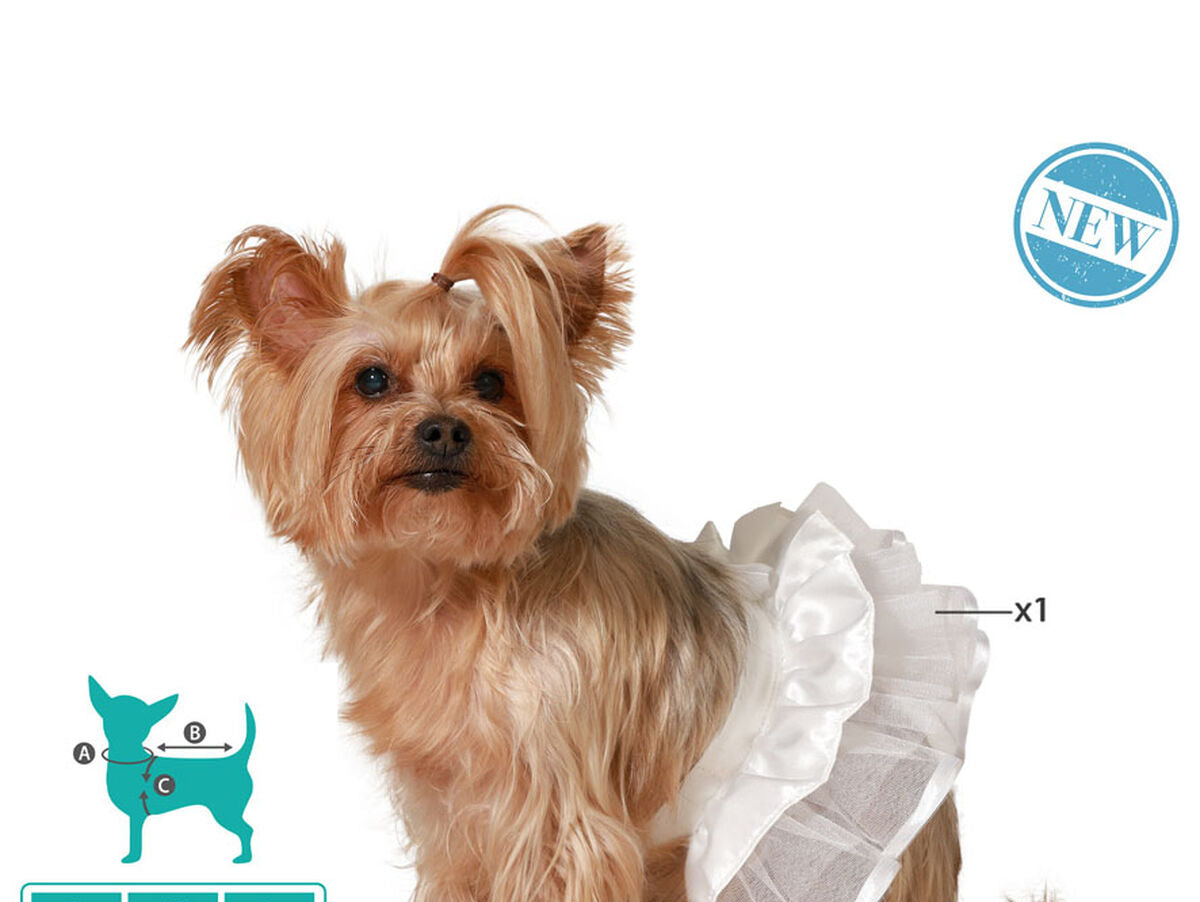 V6H72B79EA626ACF5DF6DFFAABB3F0C2B39R5006676P1