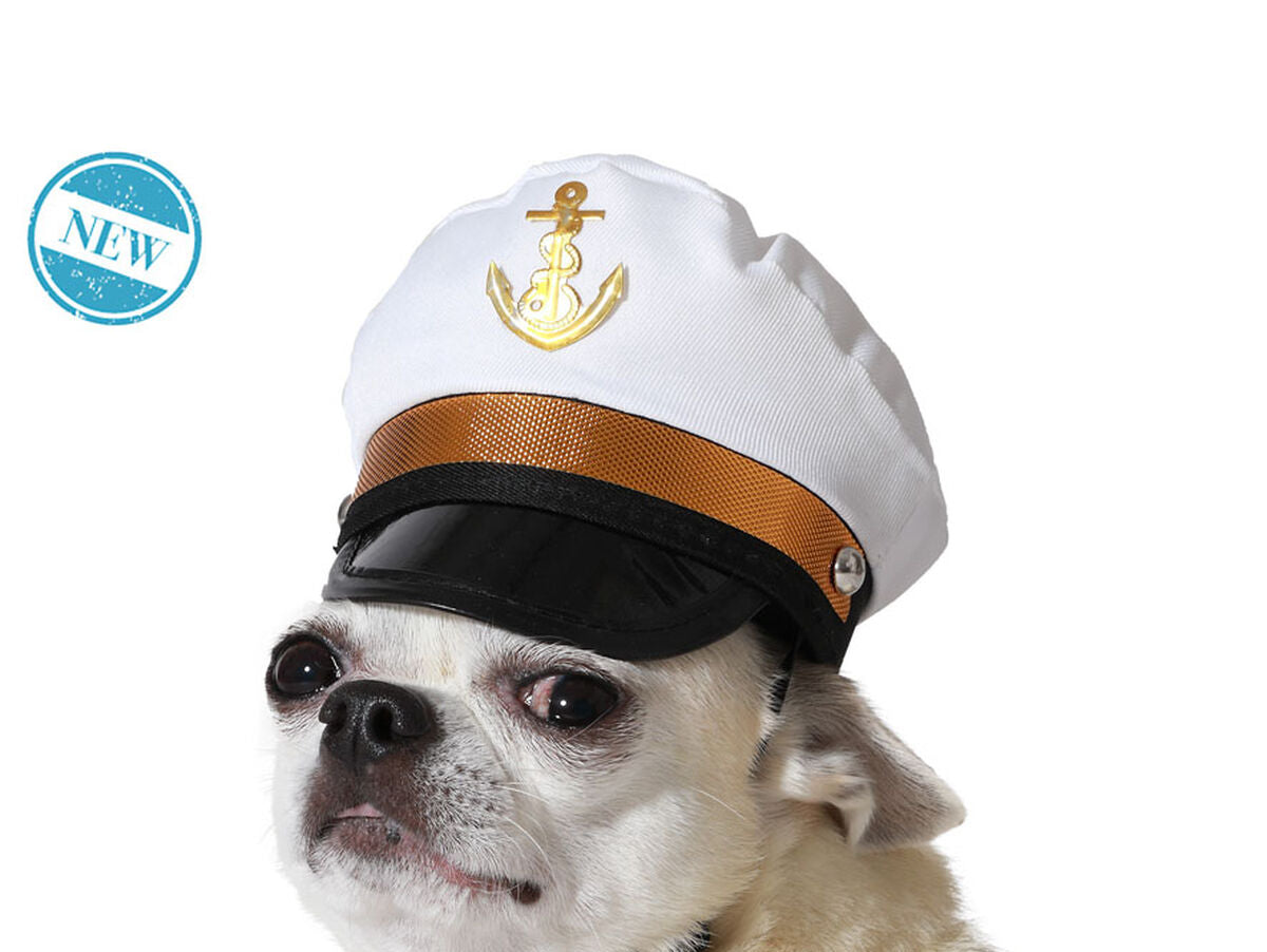 V4HE7A42F47511567B22146EF0BD20E9D48R7189037P2