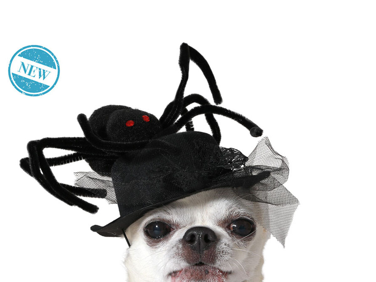 V4H3DCC3663C0CEC4750E1B79E8DB897C88R7189025P2