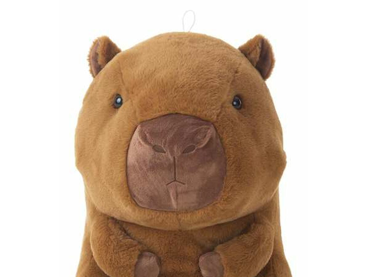 V2HA16EE62F476AA97599EB1AAC7F7FB2D4R6849149P1