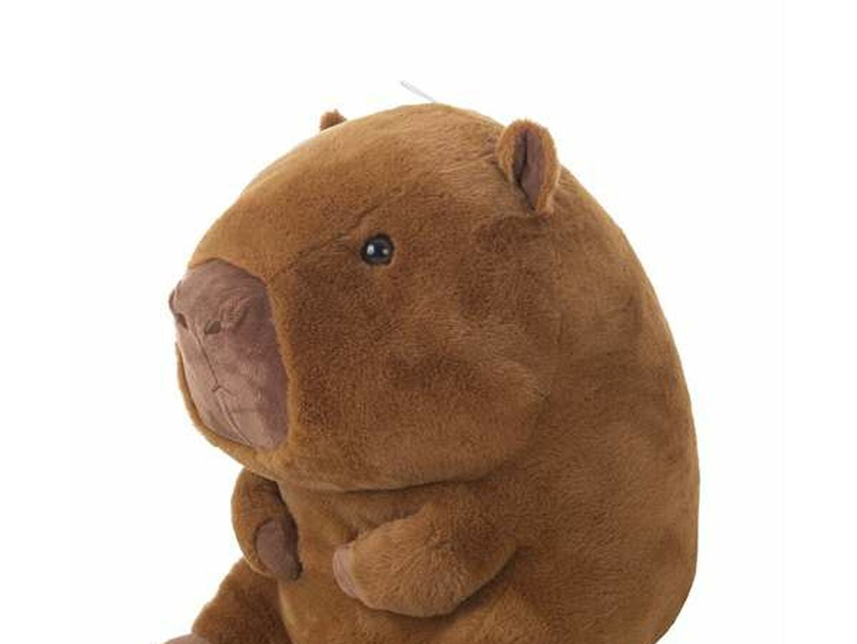 V2HCF582ADC5014491A639455FDA72F2609R6849153P2