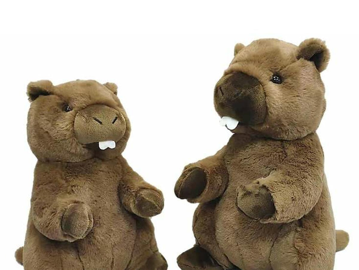 V10H22988D78B732AAADBAAAE30CF0E80093R6687150P1