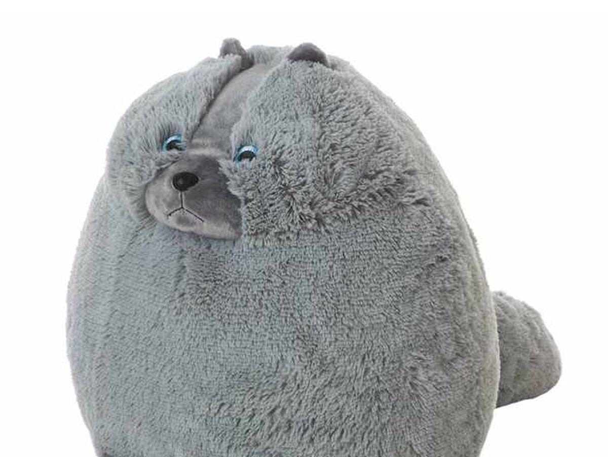 V10H31DB55C15875720E483AB9DAA8CBC00AR6687350P4