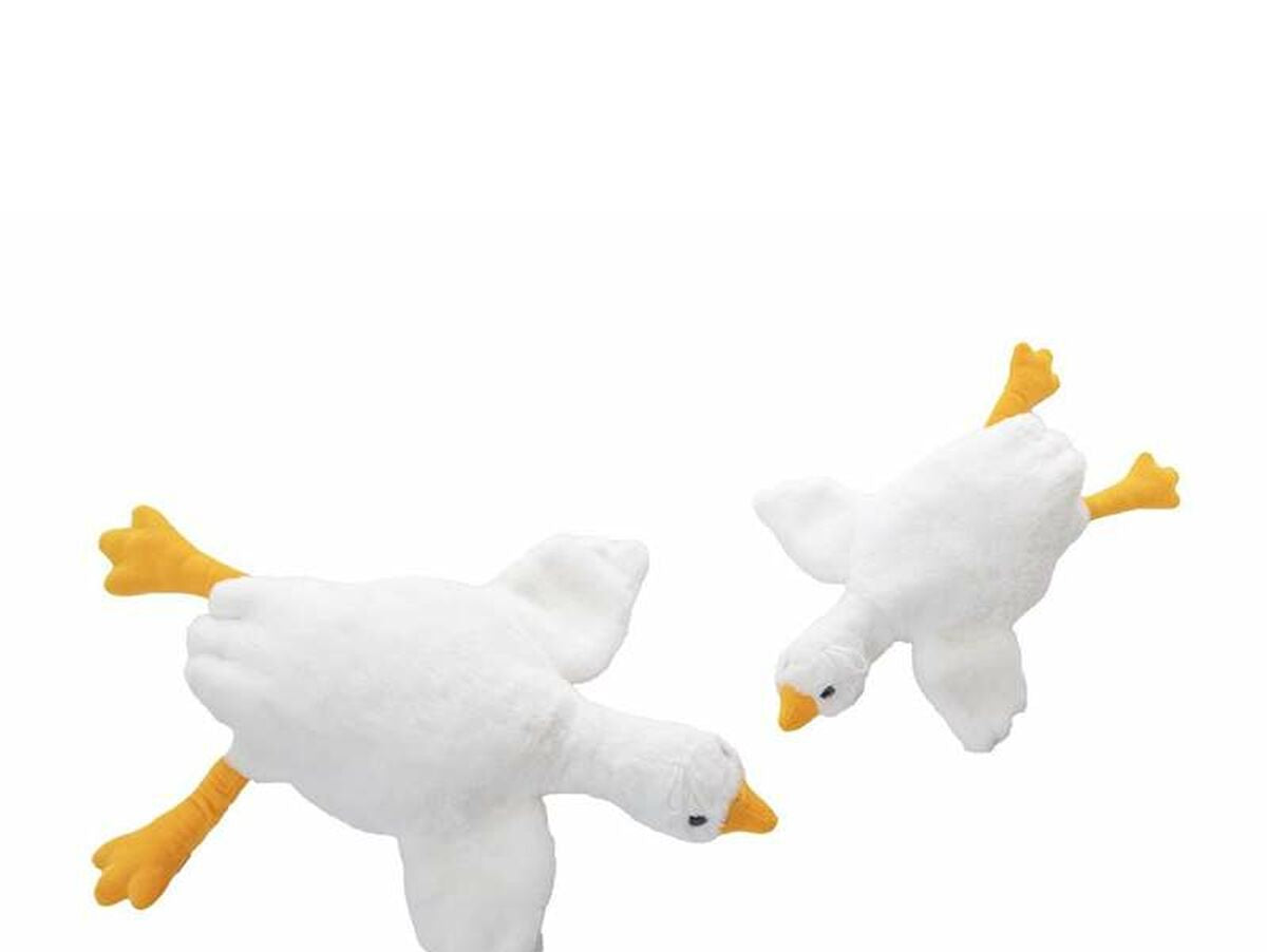 V4HA297C92952ECADC718169C8B5A53E2CBR6687631P1