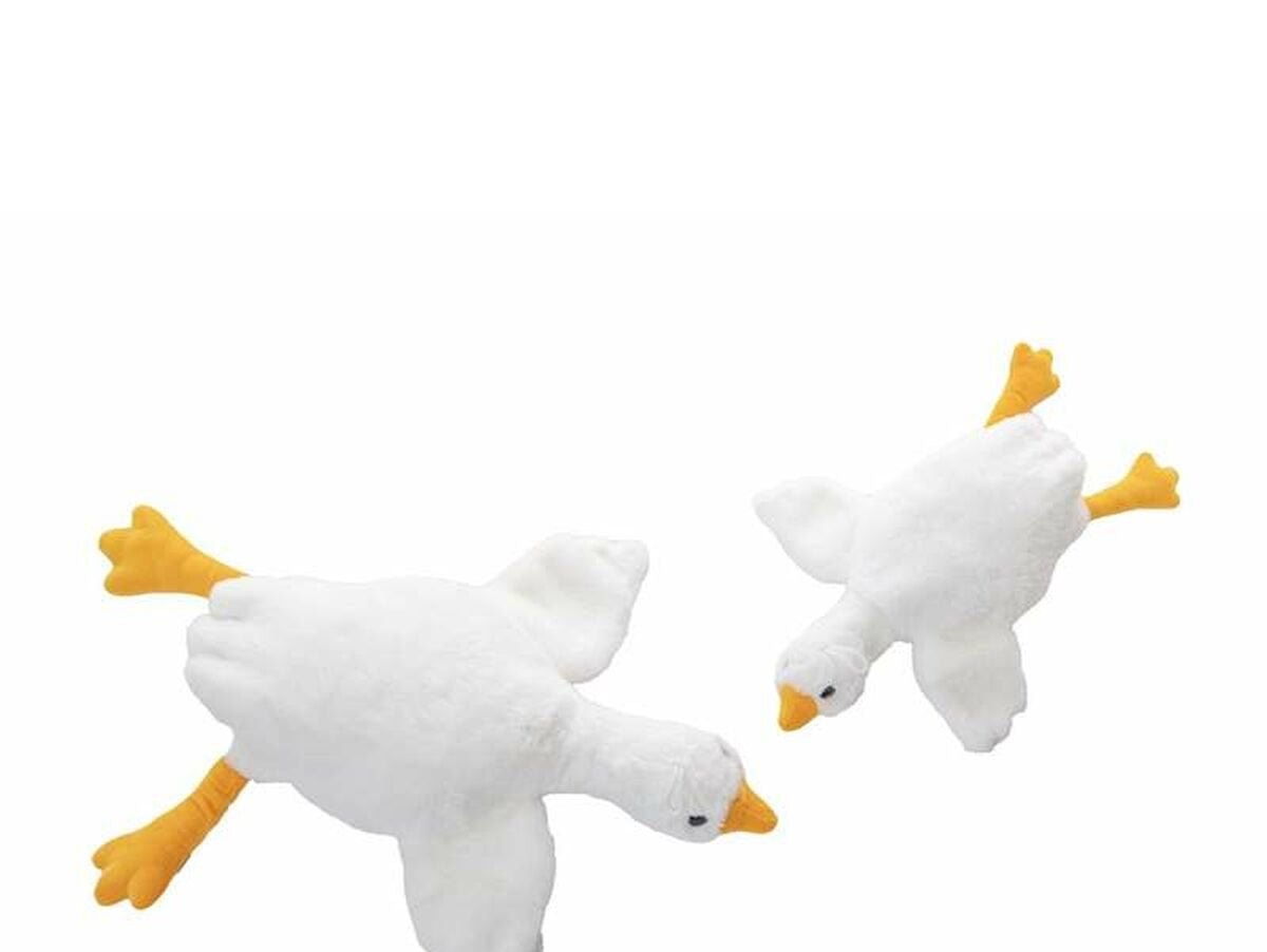 V4H7D8C237FD030D2672BFB9222FB2B2773R6687633P2