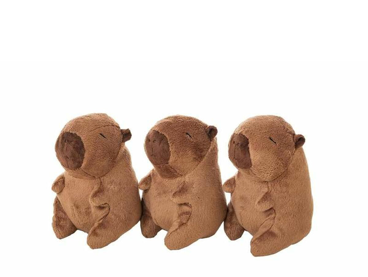 V4HCF29B308C388A7E5068CA380CC6CB6E6R6688051P1