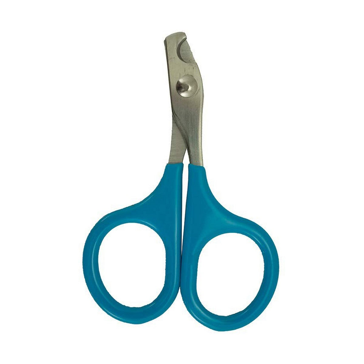 V10HFF2C95038113AEDC621CB2995AB84781R5157263P1