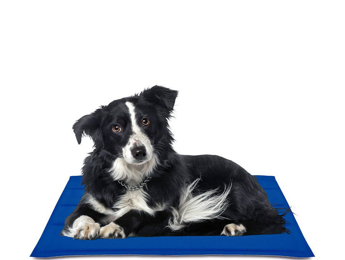 V13HAF7A0C500B727A80ADD65485CEC150C0R6606005P1