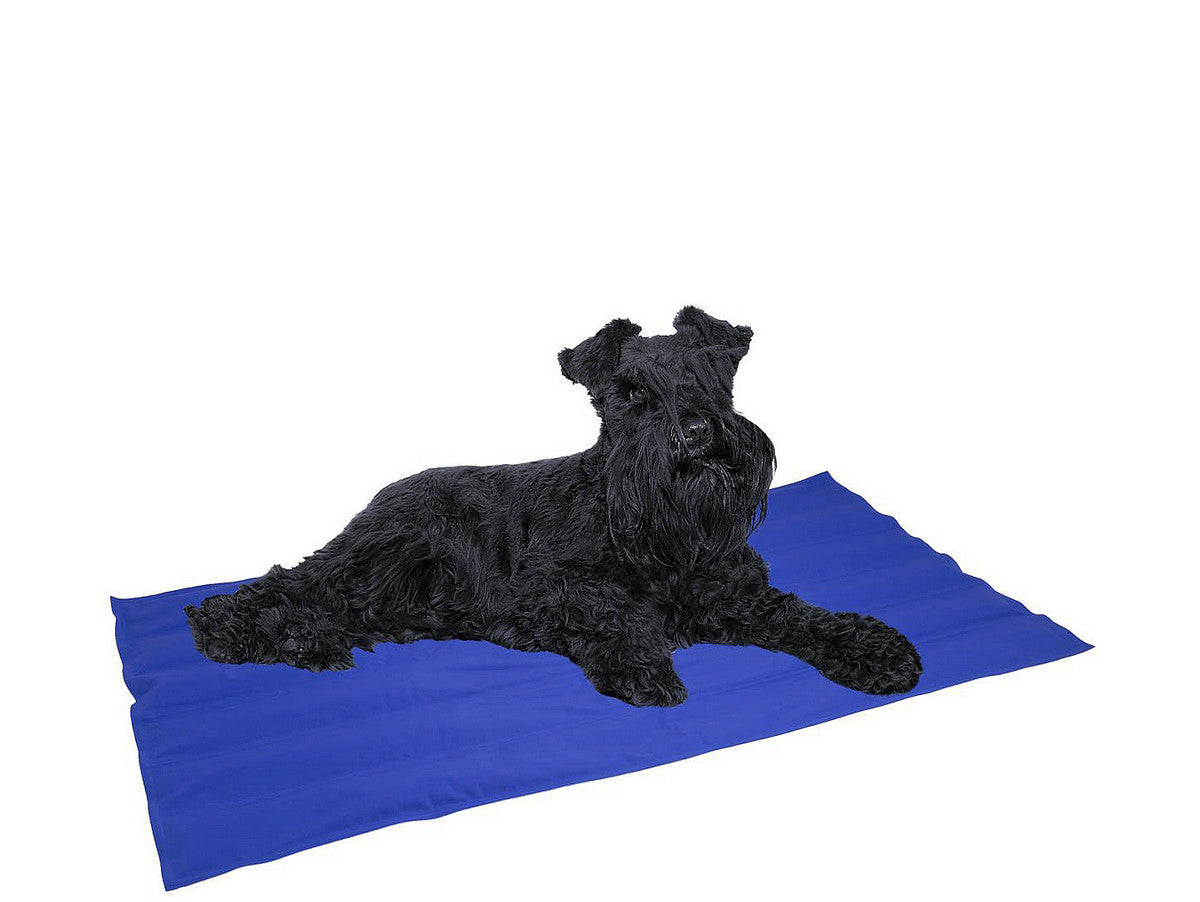 V13H2573E75FBB1513C315B245B5305BF455R6606011P2