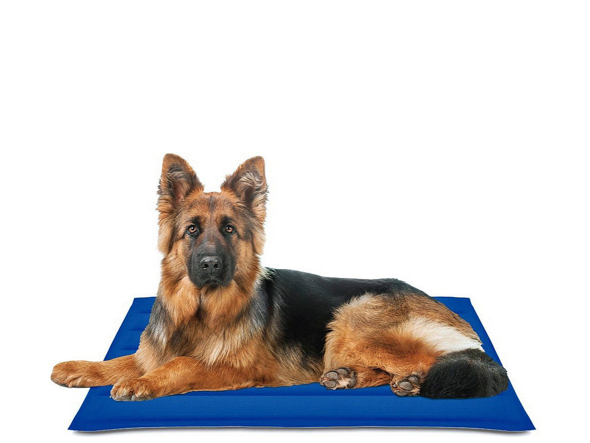 V13H528B1C94364BC8DE865E6F3CE1229802R6606162P1