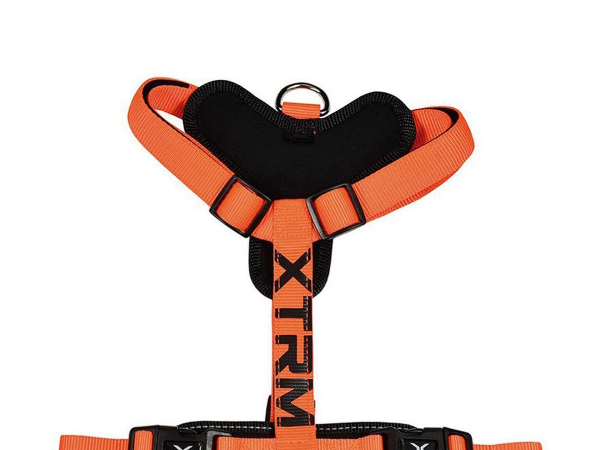 V11HEAFE4D4F0BDA517B22905D7222360736R3464248P1