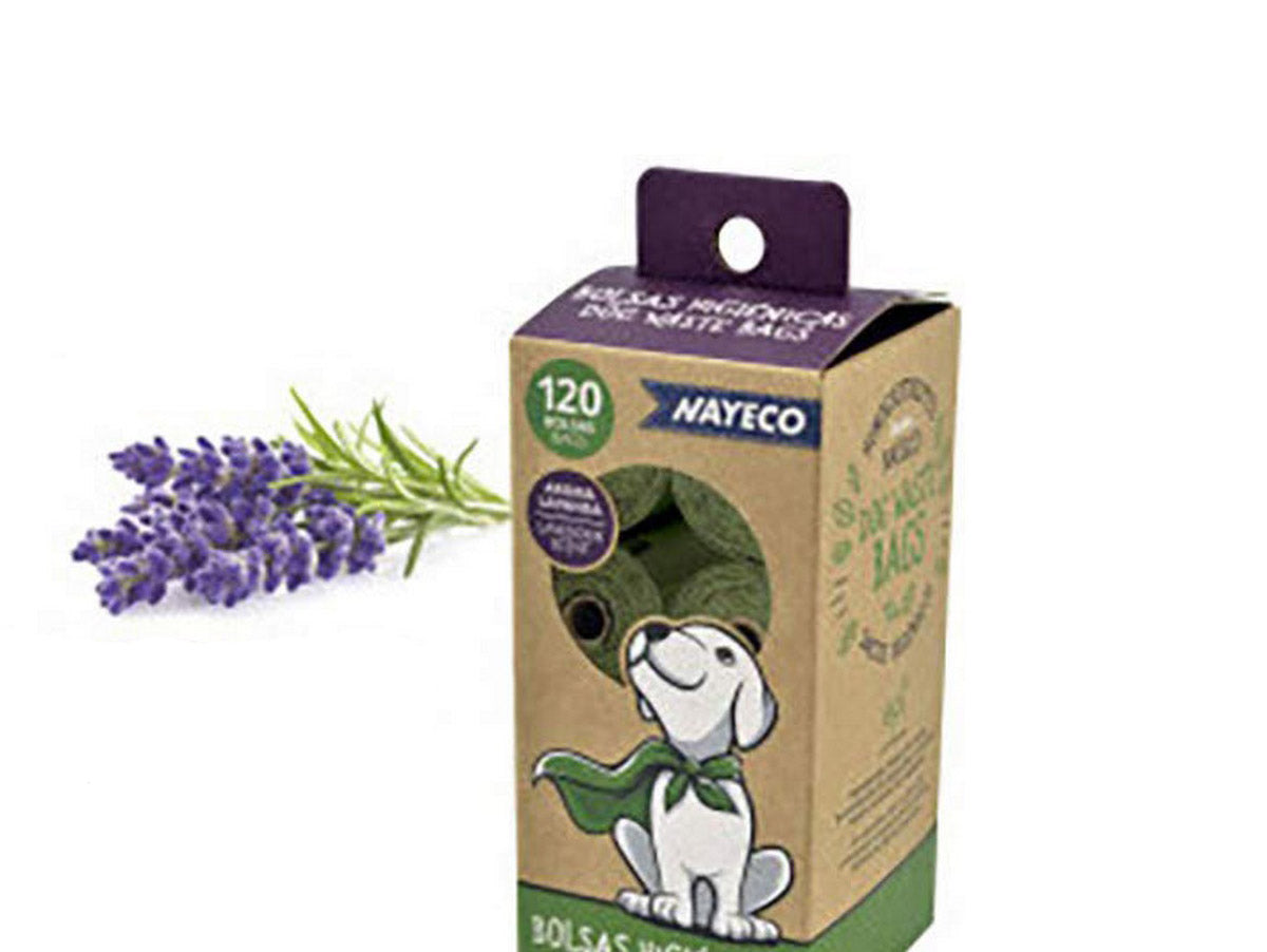 V10H0CACFAF54A7A9D05C86200CA3A5706ACR5157427P1