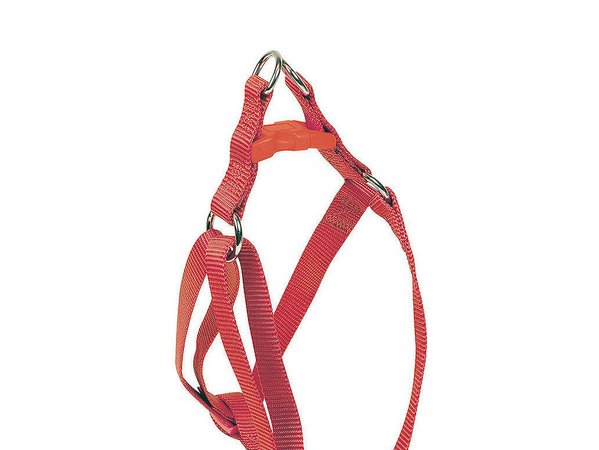 V13H348FF02D63A845A25FC419C120EEF3DER6609303P1