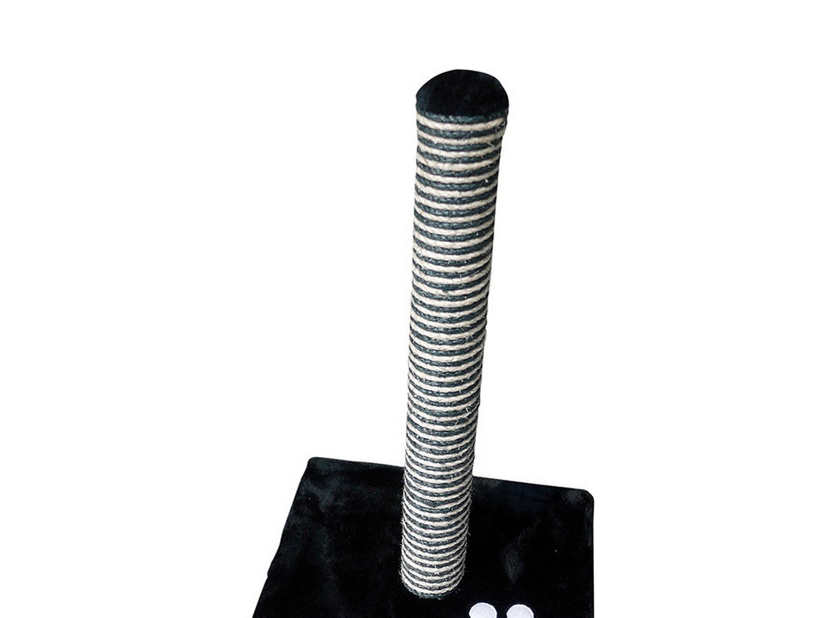 V12H80C31D76C31618B8B9AE05F19B0534AFR6608247P1