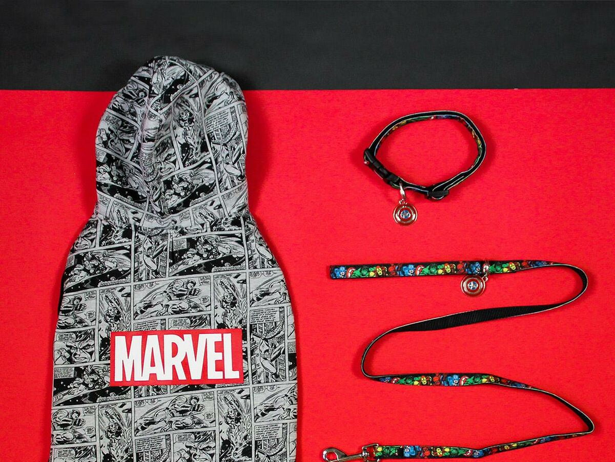 V3H0B7C1A745A43BF18B23F3F82E6D624C1R6606962P5