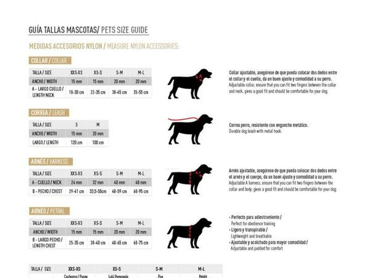 V4HA26EFDDE2EA506F9A0E119419C6E0731R5698210P1