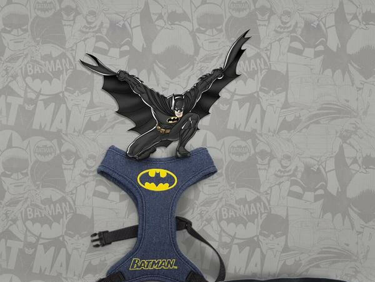 V4H94F4D33EB110BA514AE0CC1B95682DE2R5698231P8