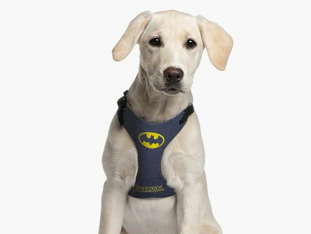 V4H9FDB7DF3D3718BAC450FE636ACF8CADCR5698223P3