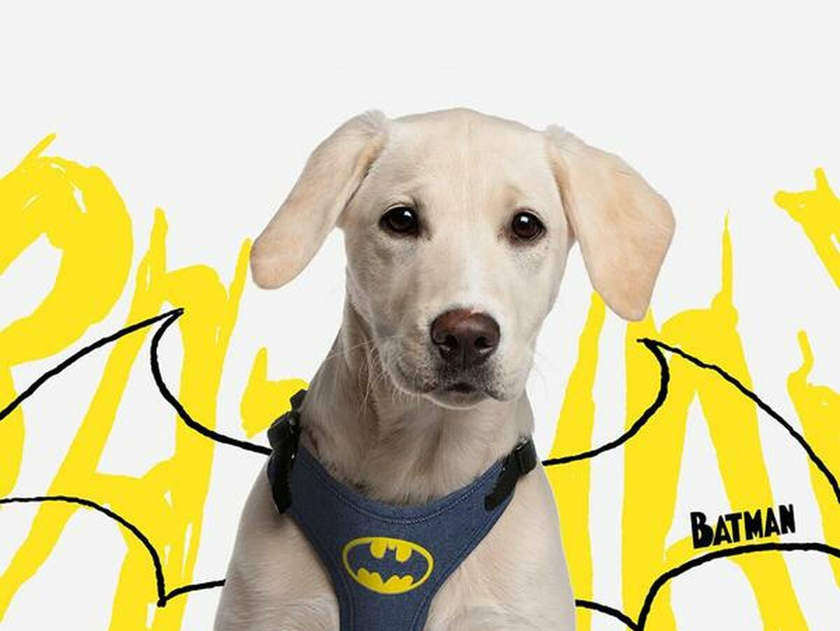 V4H782C1C6A0EBC00C7D6F7147D5D9EAF29R5698227P5