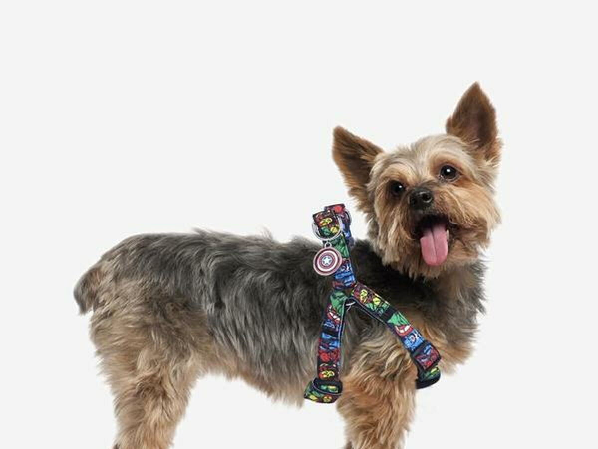 V5H213B04E8F3DE1EA5D16F6E0A88D70C7FR4704067P9