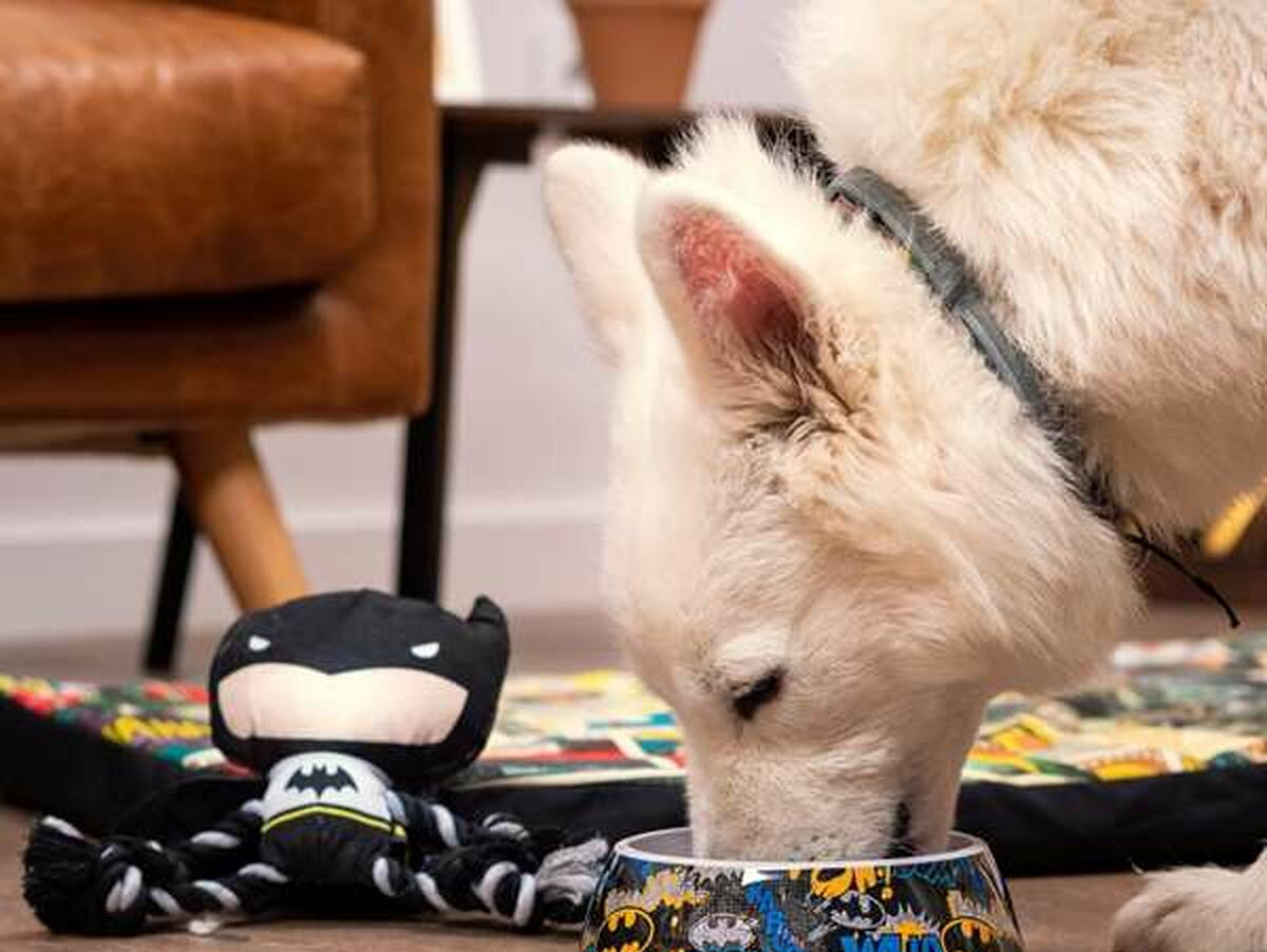 V4HAE178D247EA4C481C4AD6C4AAAB75AC7R5695720P2