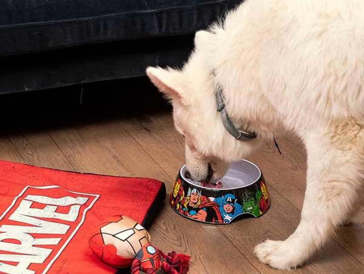 V6HF956BA0AFC95A2B53623ED63F4357174R4655259P3