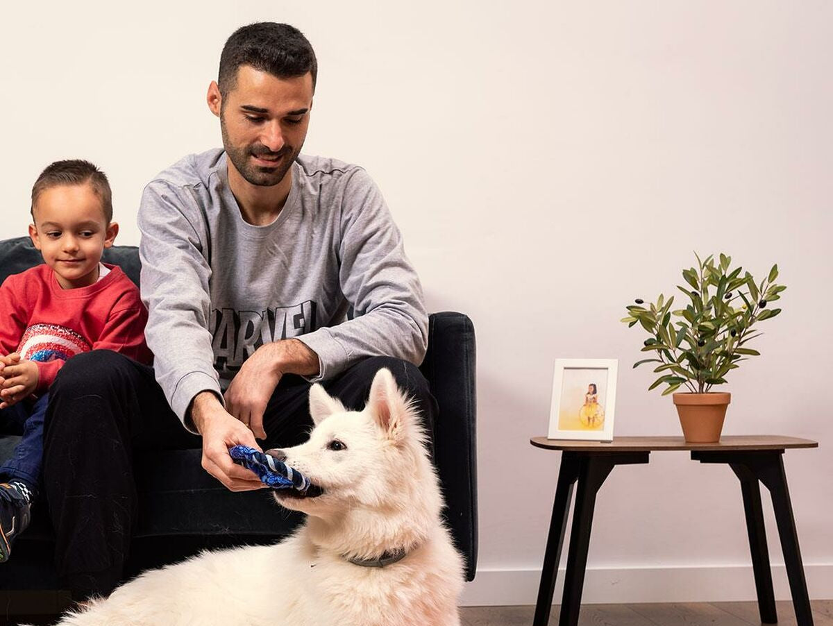 V7HB82B9E8A020383D4E6EF1BF58C315609R3945781P6