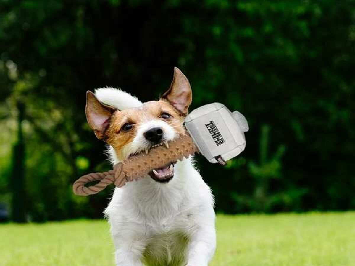 V6HBB1DDE71B35114F7F048B0F6A2CF7C48R6739585P5