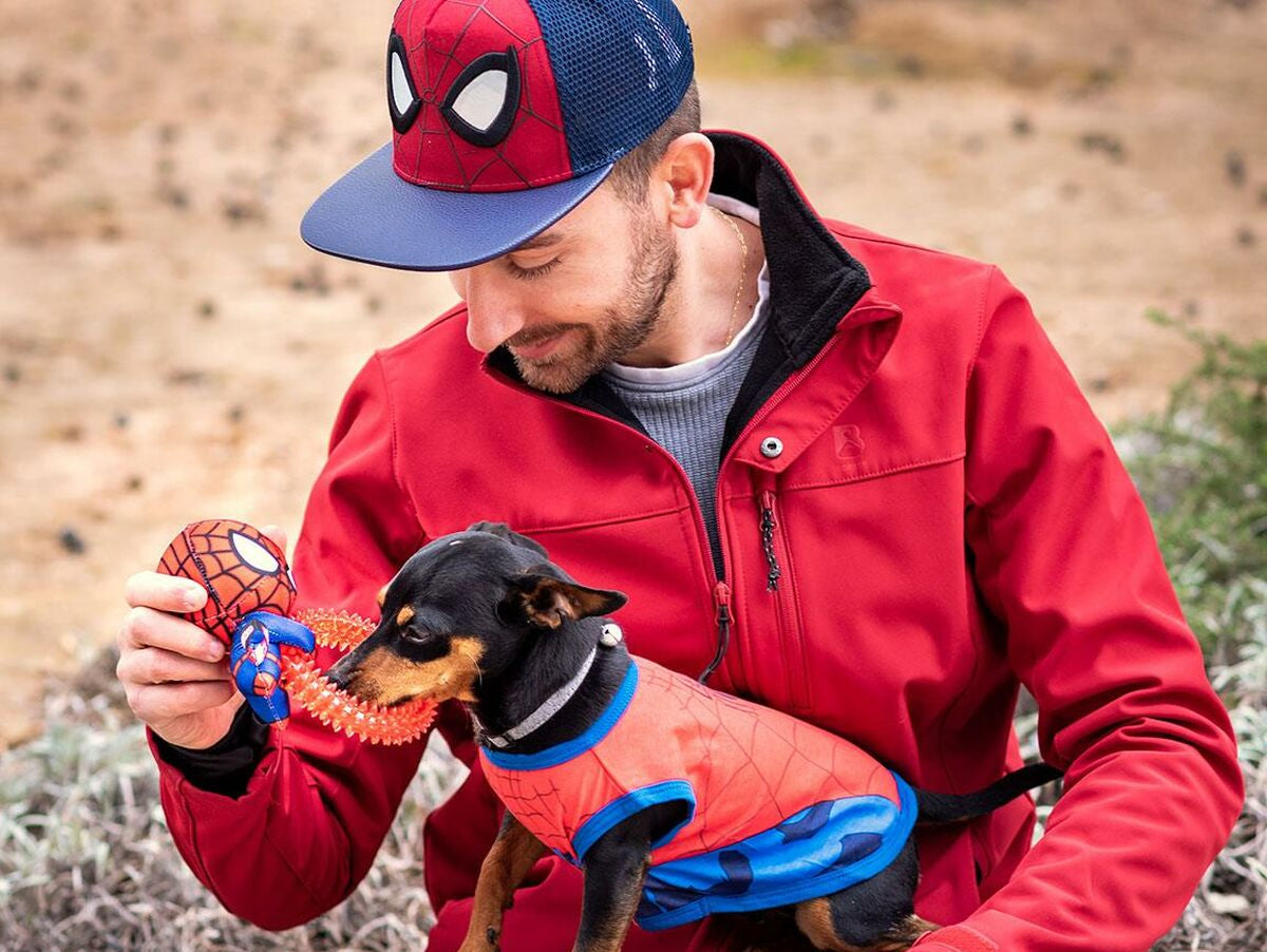 V7HF45F6CD3399BB0DE261D8AF55A7782B3R6797565P9