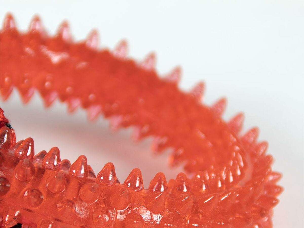 V7H016BA6AEA0A20094202631E6A44C8559R6797560P4