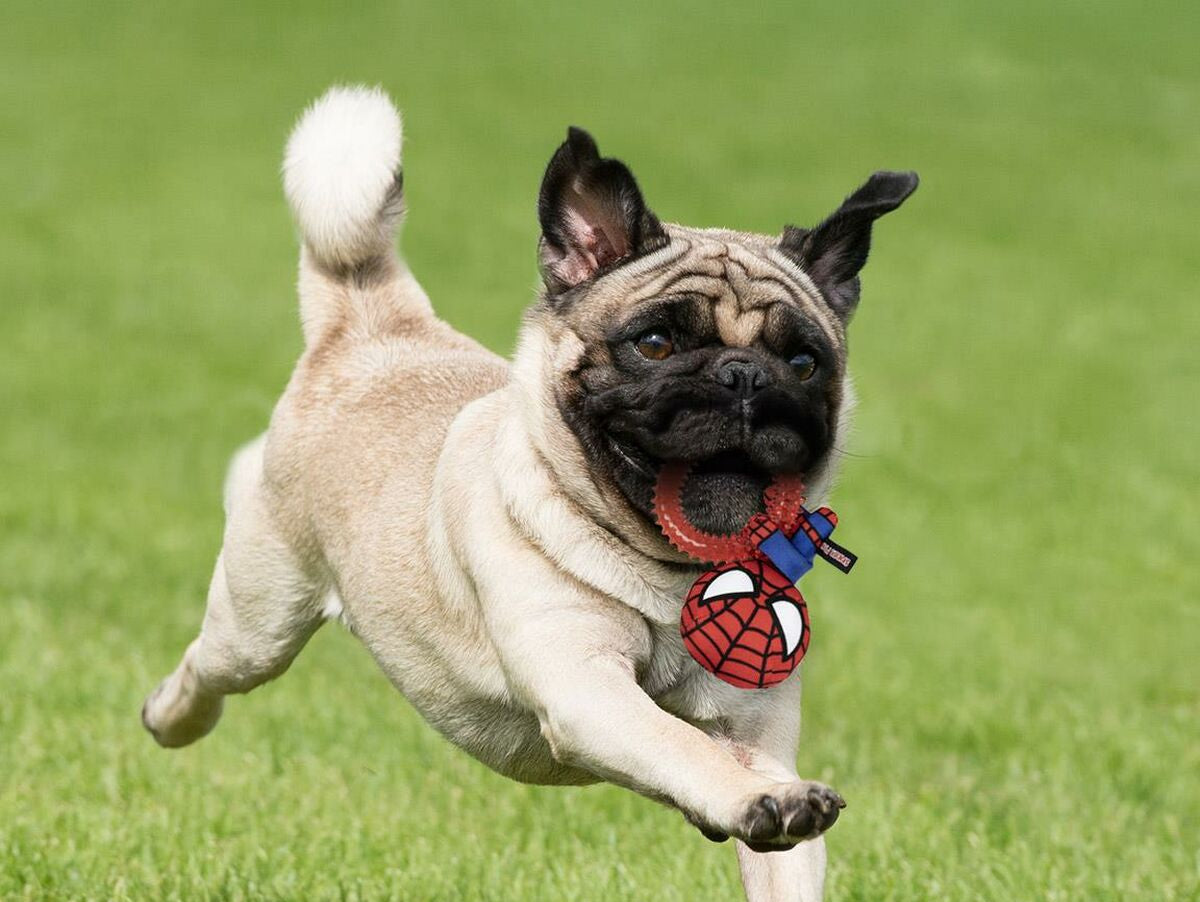 V7H7AFFBE5183DE64AB017F4431D8D7915FR6797561P5