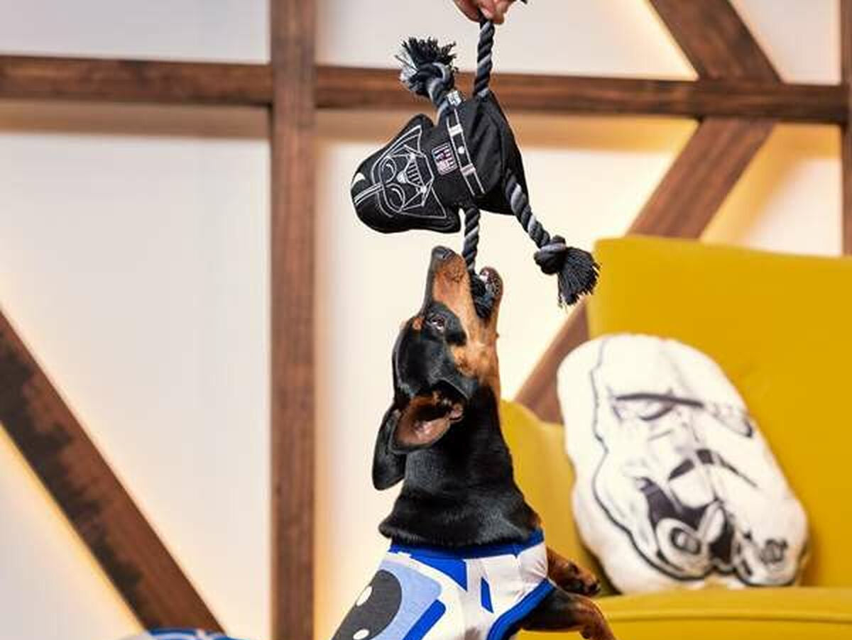 V6HFE134AB006A151CADE40262BB13FD13BR4655450P3