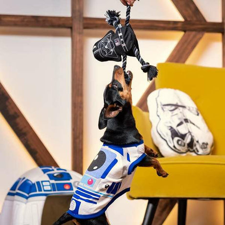 V4HFE134AB006A151CADE40262BB13FD13BR4655450P3