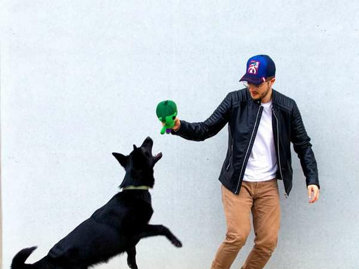 V6H526231E330CBB270FEAD6143A4FCECF1R7134525P8