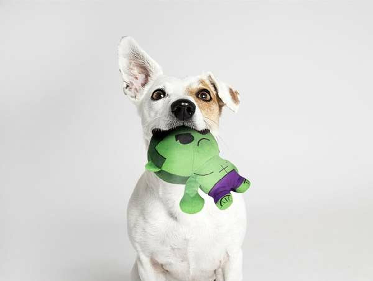 V6HB8EAE0BE4A4C324565CB88CA880EEA8AR7134527P9