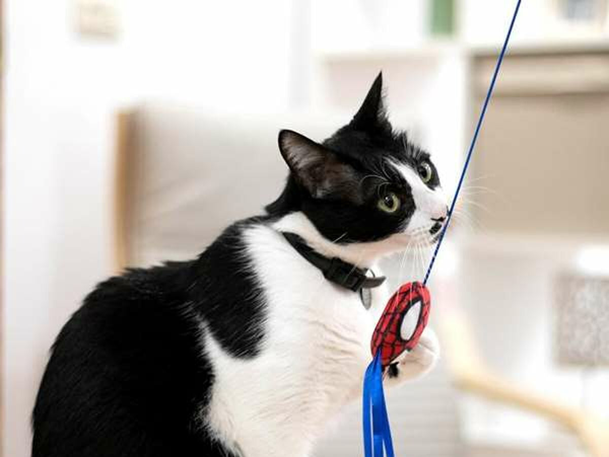 V3HC028EACA4FE8EC51324D66742D16601ER4692697P6