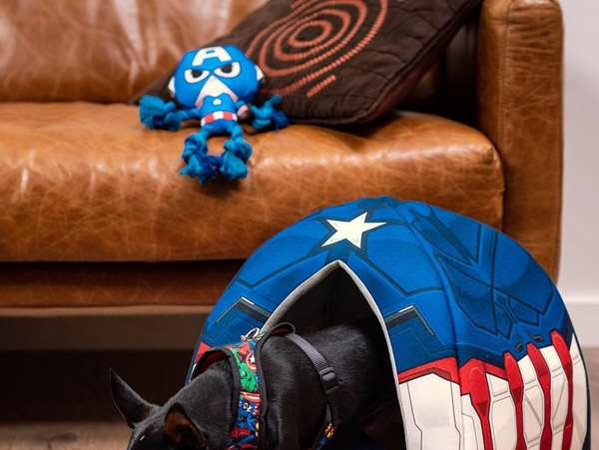 V6H97B270C475312044A4212C45DA473BADR5698246P8