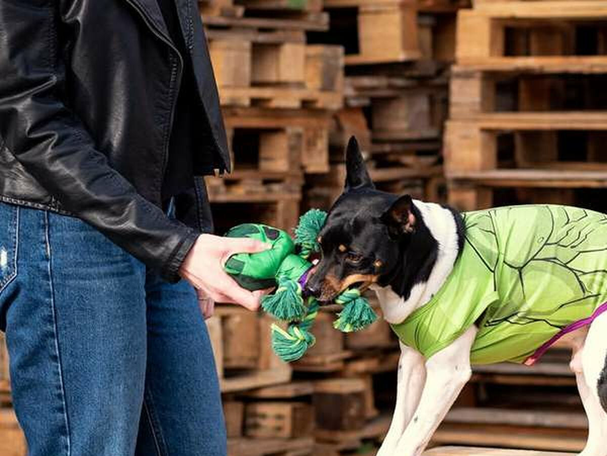 V6HC42FAFAC57C8A6B7A6D28BF1A125CC75R5698278P9