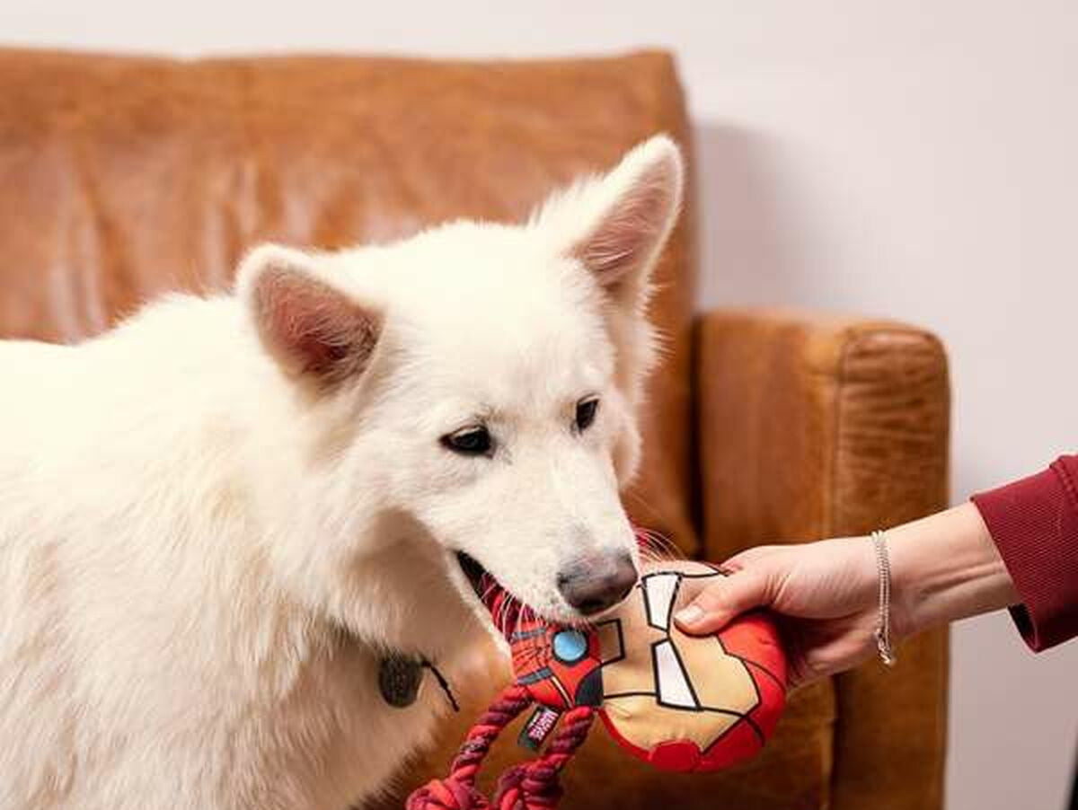 V6H9CB078AA078C070D171684CDB5C89E6DR6721670P8