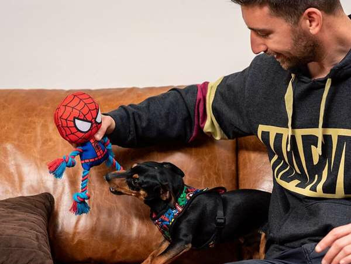 V5HC12A9F774F5070DE080572465D62BA58R4655696P8