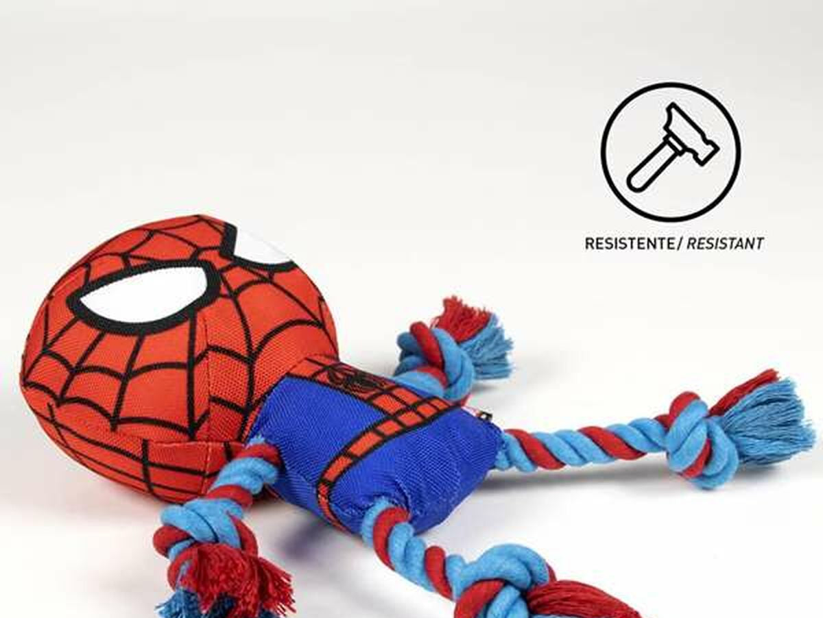 V5HAE85C3C5A037AD15451928F2AA8E851CR4655697P9