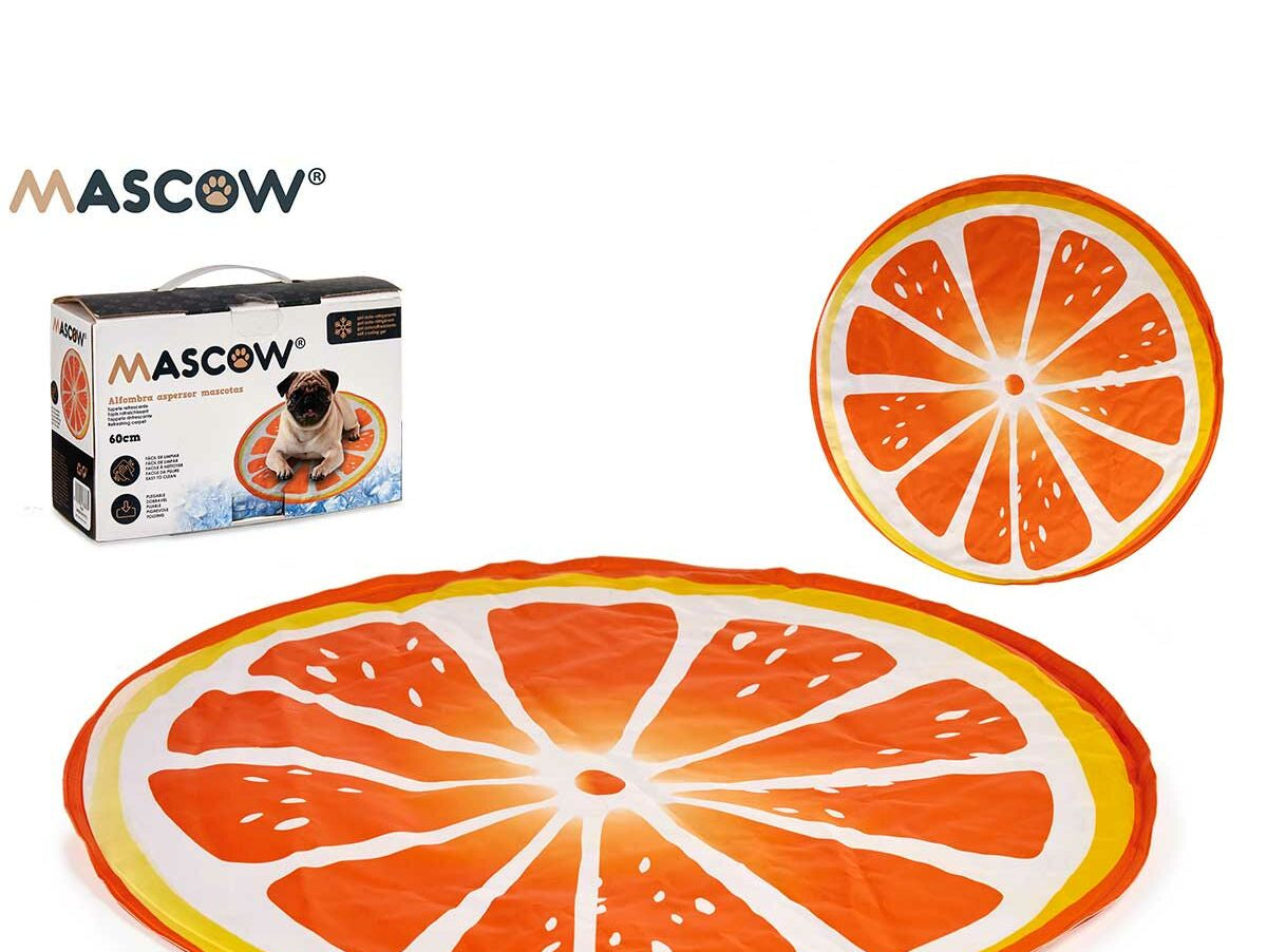 V6H534CAB210997FCC5F3BFF0FF91E14E4ER7376889P10