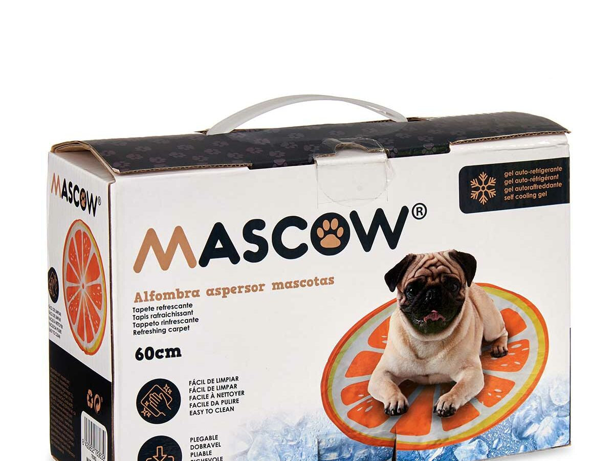 V14H8B84B1F5174EDACD6131C5B1AA92FCC2R7120329P2