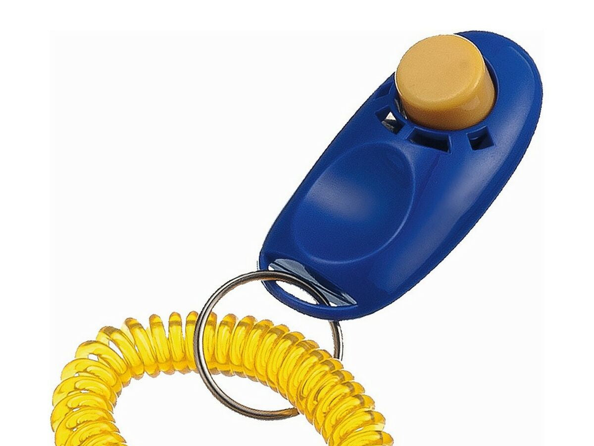 V5H591EEDBFD277FADDA6505631BF46A905R5584183P1